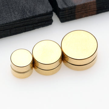 A Pair of Golden Steel Magnetic Fake Plug Earring